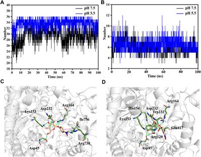 Characterization and insight mechanism of an acid-adapted β-Glucosidase from Lactobacillus paracasei and its application in bioconversion of glycosides